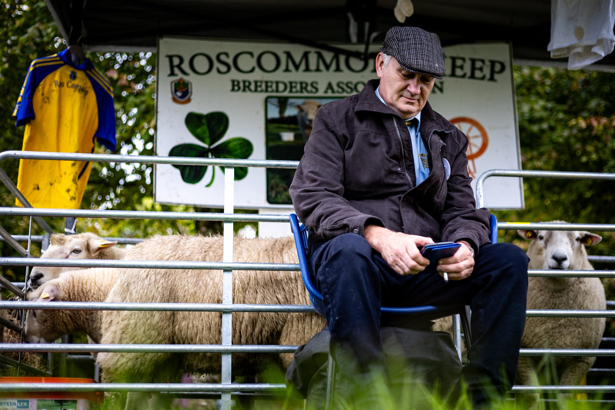 Strokestown Show gallery photo 10